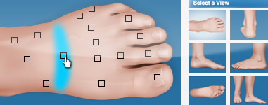 Foot and Ankle chart